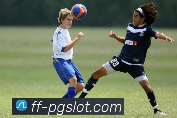 PG电子娱乐官网APP 封面图